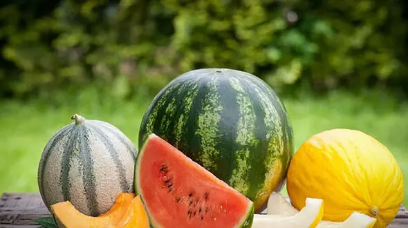 برنامه لاغری یک هفته ای با میوه و سبزیجات