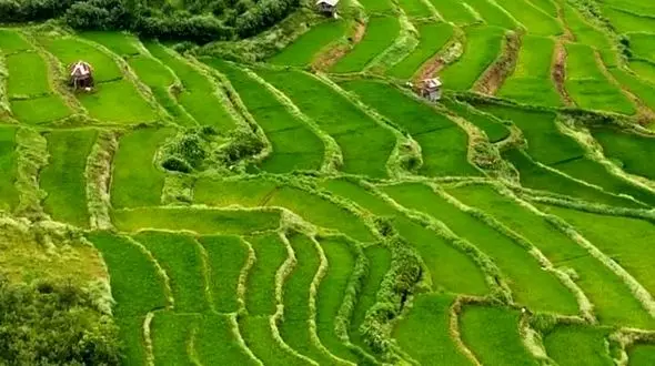 از مازندران، قلب سبز ایران تا مازرون، طبیعت چشم گیر ایران