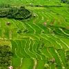 از مازندران، قلب سبز ایران تا مازرون، طبیعت چشم گیر ایران