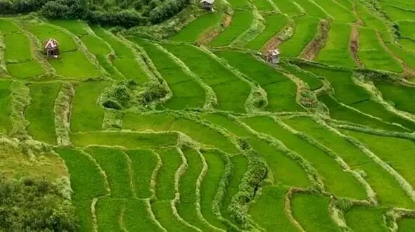 از مازندران، قلب سبز ایران تا مازرون، طبیعت چشم گیر ایران