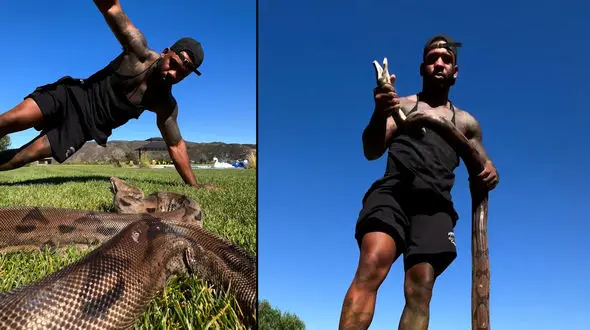 ماجرای شجاعت / مرد جوانی با دلیری مار خشمگین را شکار می‌کند + فیلم 