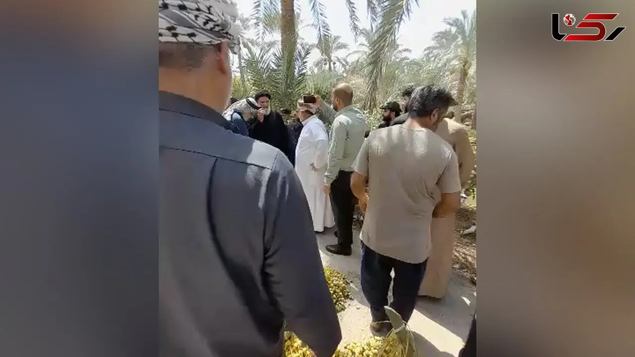 نیشکر می‌نوشد، نخل می‌سوزد/ ۲.۵ میلیون نخل در معرض خطر/  مردم خرمشهر و آبادان از آب چشم‌سوز می گویند + فیلم