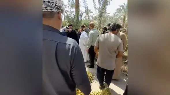 نیشکر می‌نوشد، نخل می‌سوزد/ ۲.۵ میلیون نخل در معرض خطر/  مردم خرمشهر و آبادان از آب چشم‌سوز می گویند + فیلم