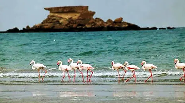 ذره ذره آب شدن دریاچه ارومیه + فیلم