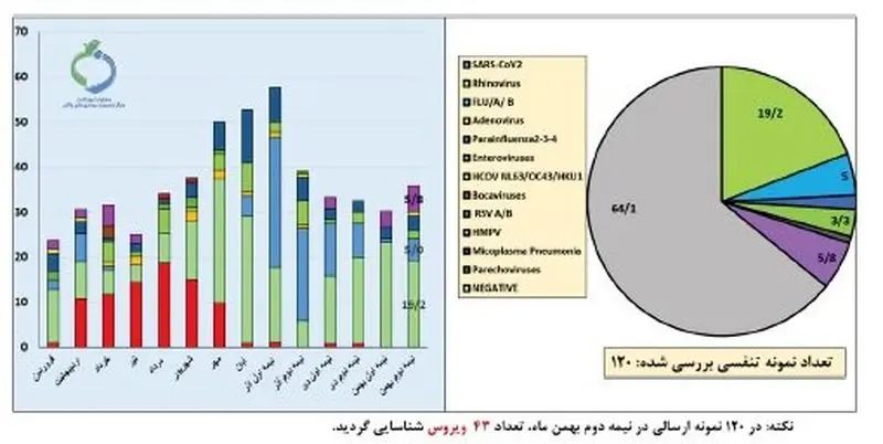آنفلوآنزا در ۲ استان بالاتر از سطح هشدار