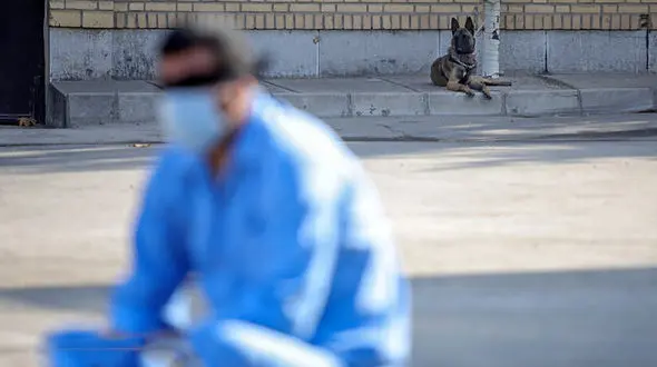 سیاه بازی برای فریب مرزبانان مشهد / راز محموله مرگ فاش شد