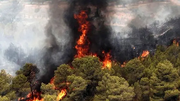 آتش‌سوزی در مراتع روستای قارلوق ابهر 