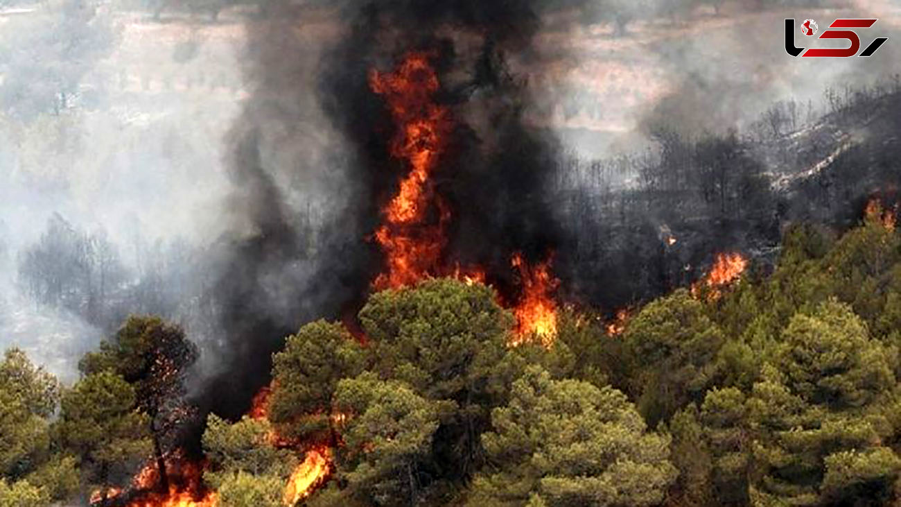 آتش گرفتن مراتع روستای گاومیشان خلیفان