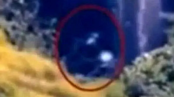 فیلمی از راه رفتن یک پاگنده در زیر آبشار + تصاویر