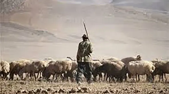 قتل مرد مشهدی توسط مرزبانان  ترکمنستان / دستور ویژه بازپرس جنایی تهران