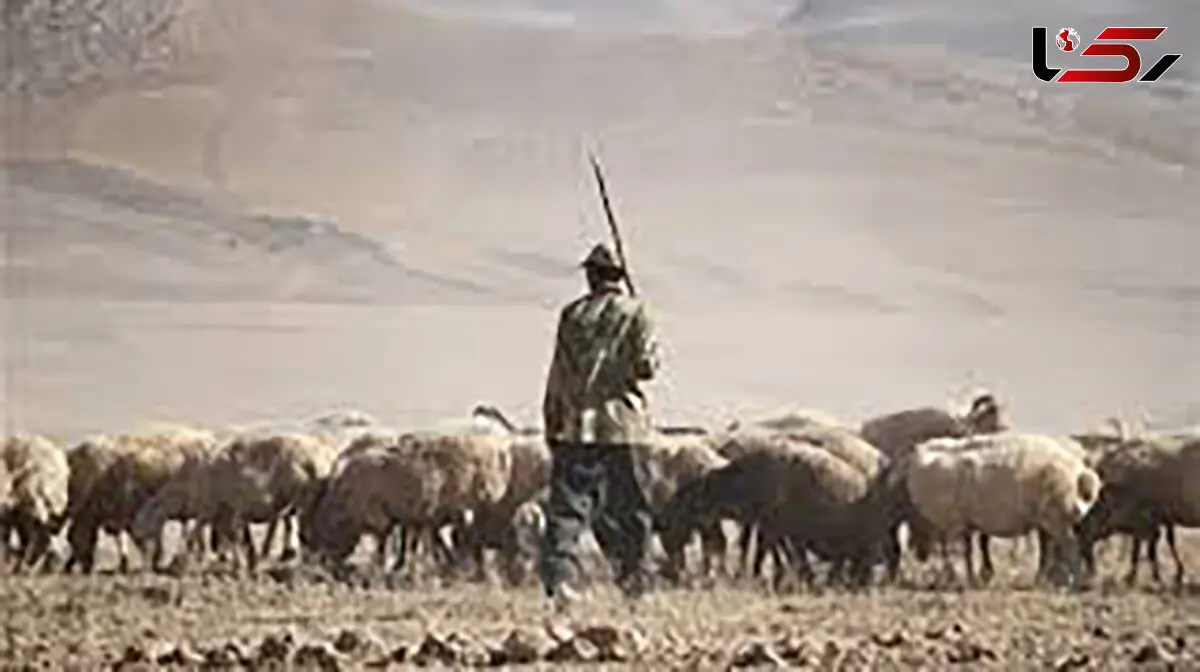قتل مرد مشهدی توسط مرزبانان  ترکمنستان / دستور ویژه بازپرس جنایی تهران