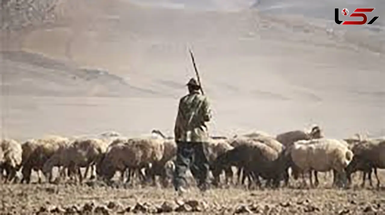 قتل مرد مشهدی توسط مرزبانان  ترکمنستان / دستور ویژه بازپرس جنایی تهران