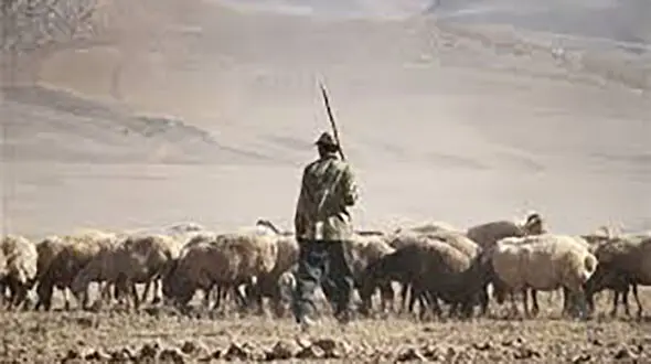 قتل مرد مشهدی توسط مرزبانان  ترکمنستان / دستور ویژه بازپرس جنایی تهران