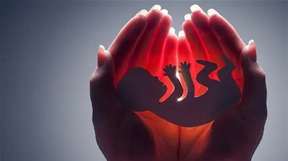  کاهش صدور مجوزهای سقط جنین قانونی در سال ۱۴۰۴؛ بیش از ۸ هزار مجوز صادر شد