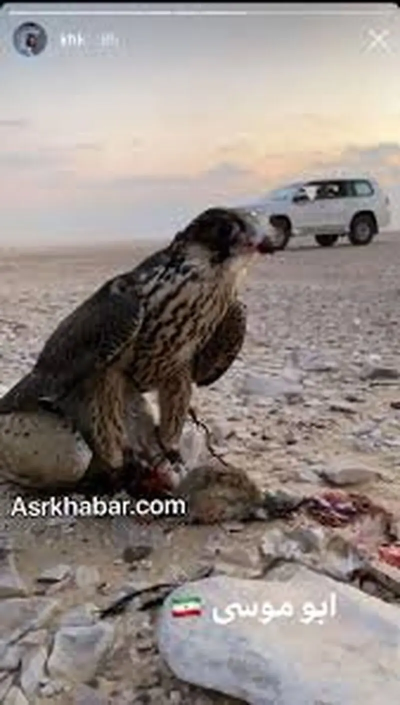 ابوموسی