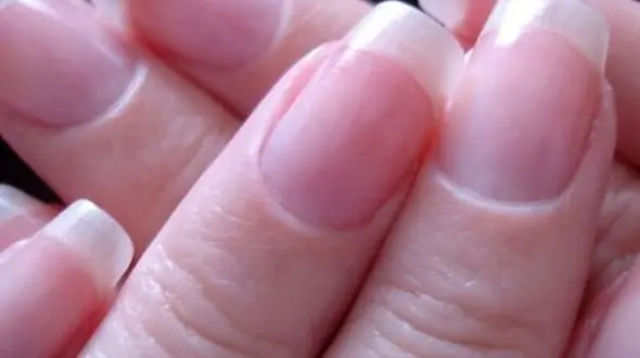 سفر به دنیای میکروسکوپی ناخن‌ها +  فیلم