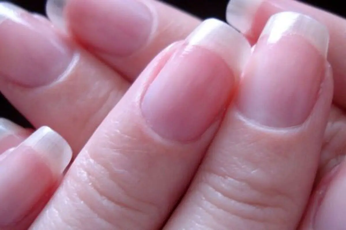 سفر به دنیای میکروسکوپی ناخن‌ها + فیلم