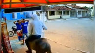 فیلم سرقت مسلحانه مردان اسب سوار در روز روشن جلوی چشم مردم 