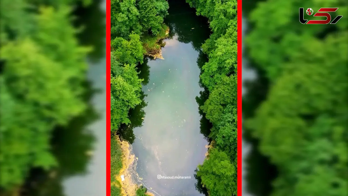 فیلم طبیعت بکر و آرامش بخش دریاچه پنهان فراخین