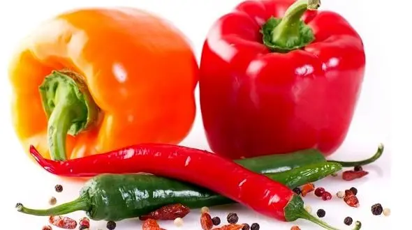 رفع گرفتگی عضلانی با روغن فلفل/خواص درمانی فلفل را بشناسید