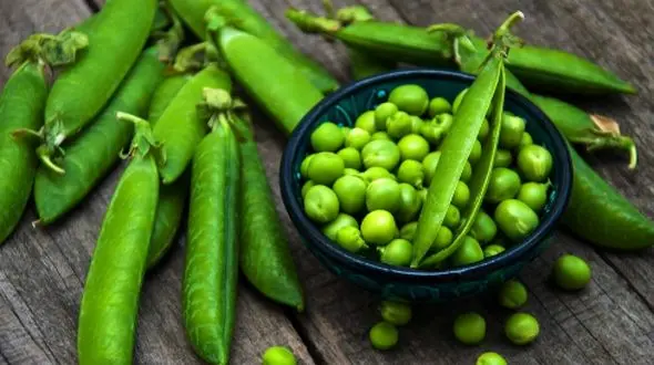 تاثیر نخود فرنگی بر سلامتی و سبک زندگی سالم