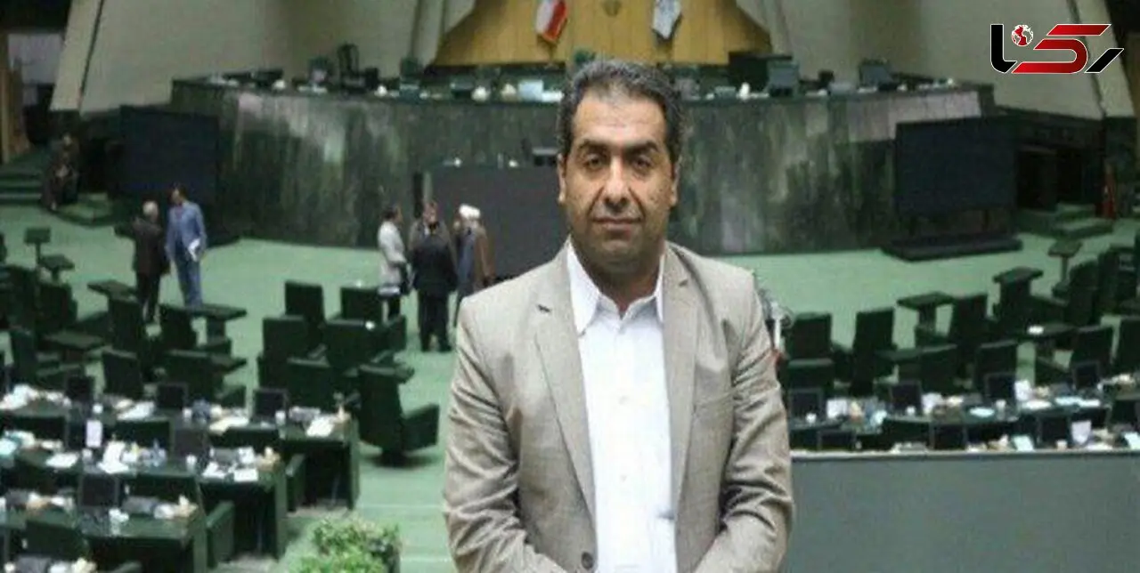 توضیحات نماینده سراوان درباره اتهام سرقت علمی 