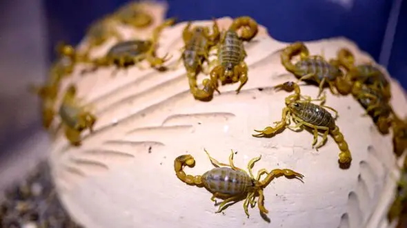 مرگ در کمین زنان و مردان و کودکان این شهر ایران نشسته است