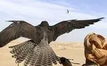 تا کی به محیط‌بان بگوییم نان و خربزه بخور و تخلف نکن!/ حضور شکارچیان غیرمجاز عرب در ایران و شکار بز و آهو