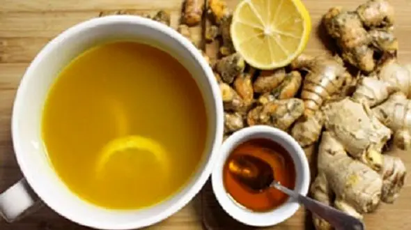 موثرترین نسخه‌های گیاهی برای پیشگیری از سکته مغزی