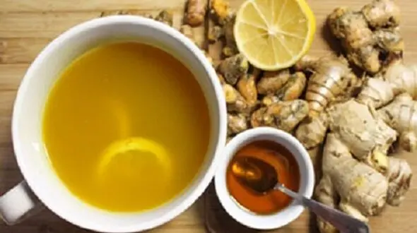 موثرترین نسخه‌های گیاهی برای پیشگیری از سکته مغزی