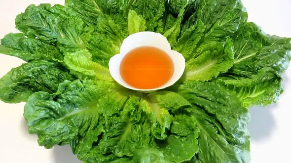 فواید مصرف کاهو با سکنجبین چیست؟