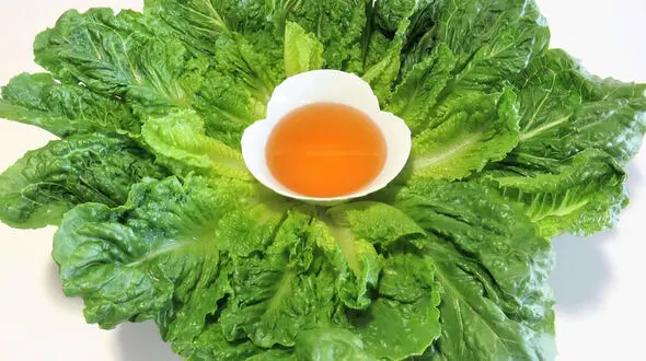 فواید مصرف کاهو با سکنجبین چیست؟