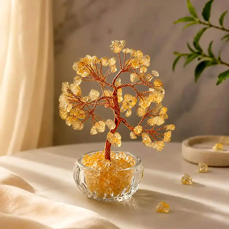 عکس از گل مینیاتوری رومیزی