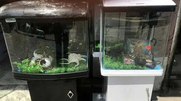 دزد آکواریوم‌ها با ماهی‌ها حرف می‌زد! + عکس متهم در کلانتری نواب