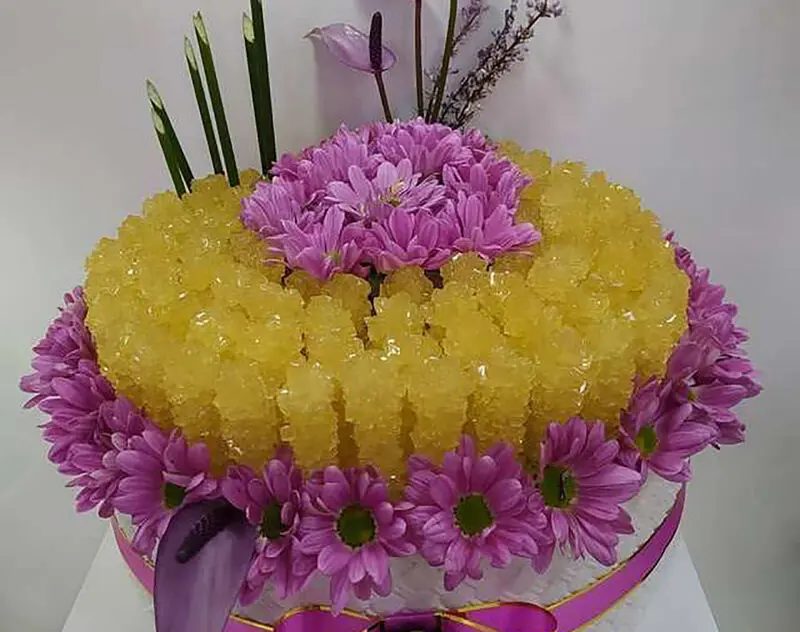 تزیین نبات شاخه ای در ظرف
