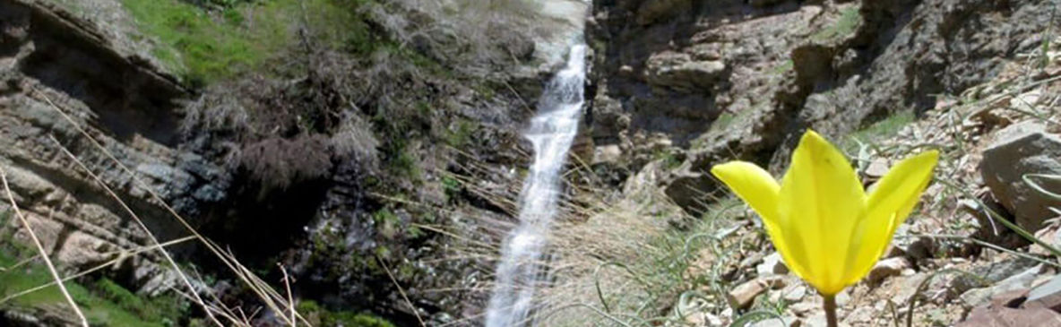 9 آبشار اطراف تهران را بشناسید / فیلم