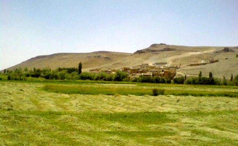 روستایی که با وجود یک نوع سوسمار به شهرت رسید + تصاویر