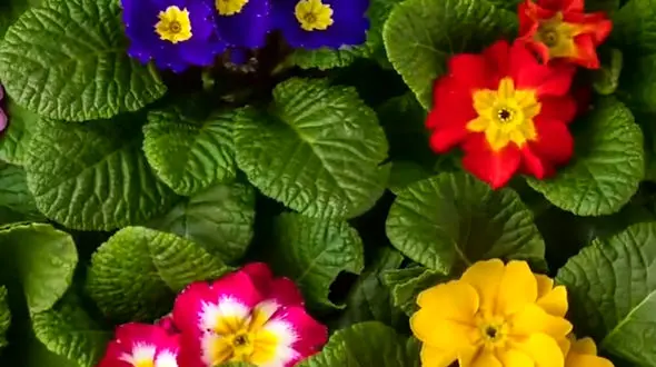 در لحظه زندگی کنیم و از زیبایی ها لذت ببریم