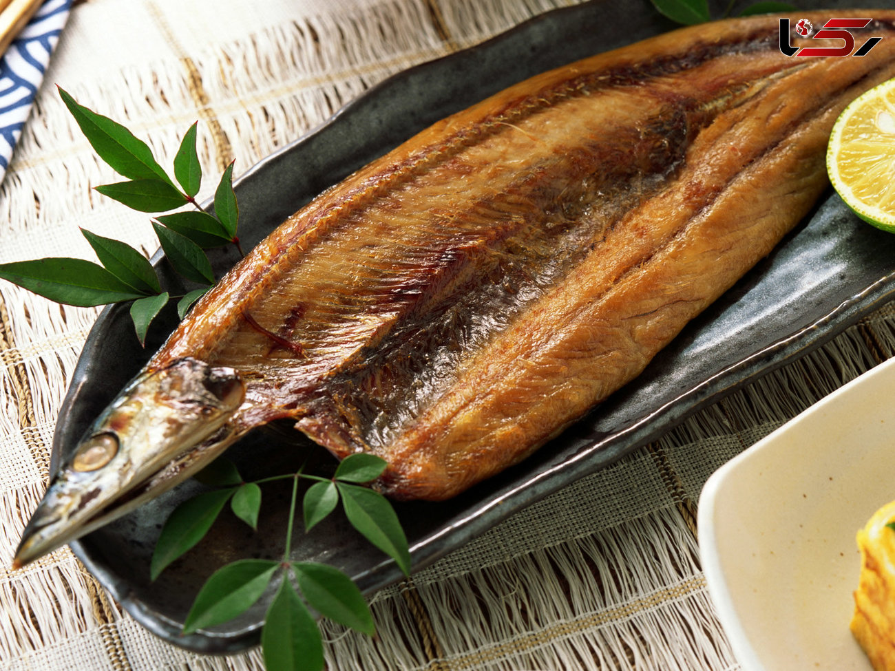 سود و زیان مصرف ماهی شور