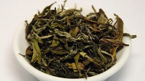 خواص چای سبز؛ از چربی سوزی تا تقویت مغز