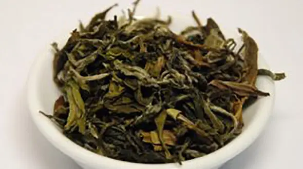 خواص چای سبز؛ از چربی سوزی تا تقویت مغز