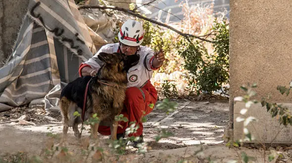 مناطق زلزله‌زده جای سلفی با سگ شخصی نیست/سگ‌های خود را به مناطق زلزله زده نیاورید