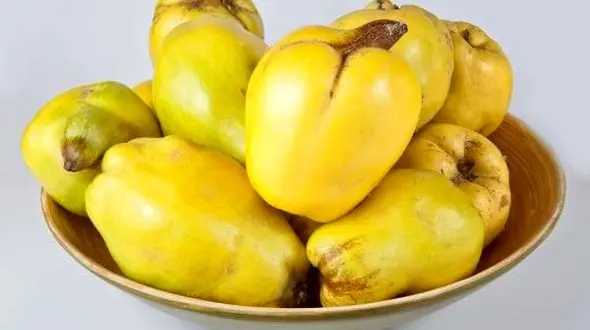 تناسب اندام با میوه ای خوشبو