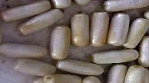 کشف 39 بسته هروئین از معده قاچاقچی در قاینات