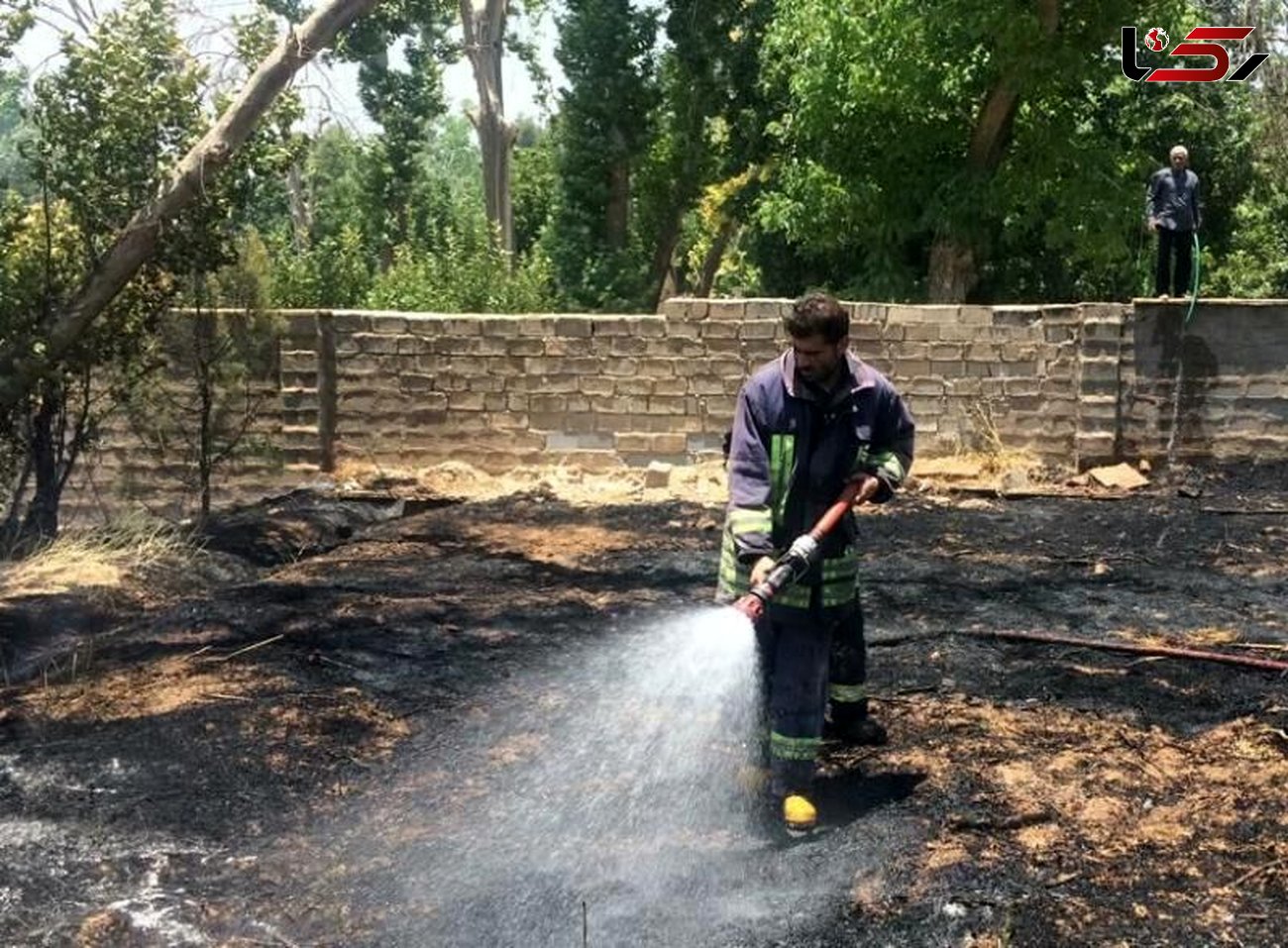 ۳ هکتار از باغ های شهر شیراز در آتش سوخت