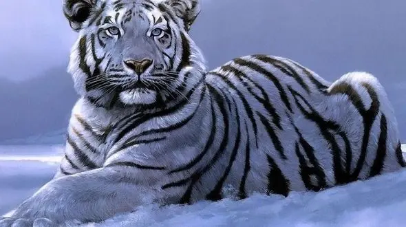 از آغوش خزندگان تا سکوت ببر برفی