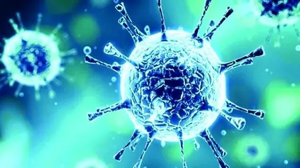 2 بیمار کرونایی رفسنجان رو به بهبود هستند 