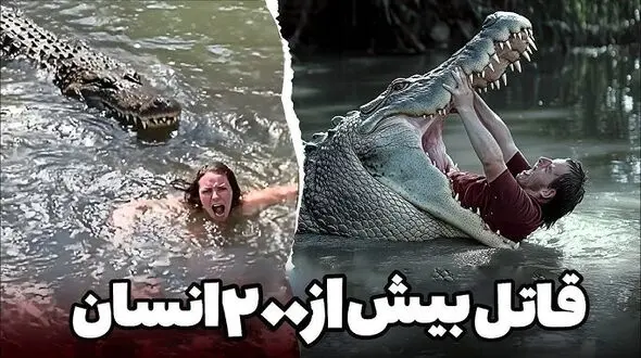 شنا در آب‌های مرگبار؛ حمله تمساح به مرد شناگر خبرساز شد + فیلم