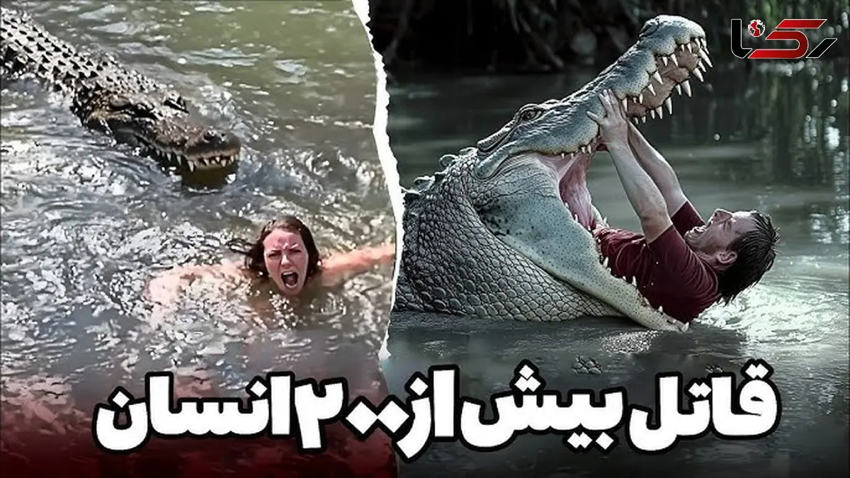 شنا در آب‌های مرگبار؛ حمله تمساح به مرد شناگر خبرساز شد + فیلم