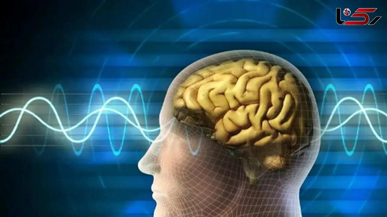 چگونه با 10 تمرین ساده مغز خود را تقویت کنیم؟